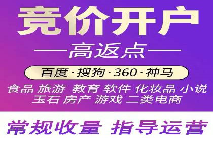 百度推广代运营公司案例分析